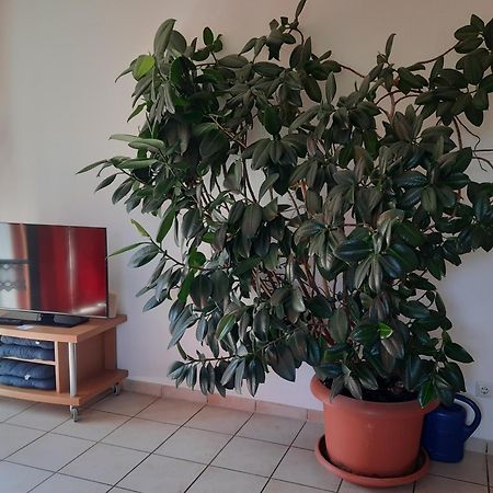 Ferienwohnung Ferstl Riedenburg Exteriör bild